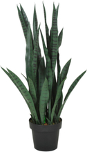 Planta Verde Sanseviera H 90