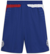LA Clippers Icon Edition Older Kids' Nike NBA Swingman Shorts - Blue