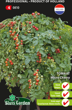Tomate Micro Cherry