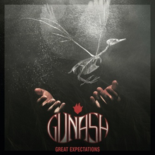 Gunash: Great Expectations