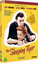 The Sleeping Tiger (Vintage Classics)