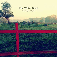 White Birch: Weight of spring 2015