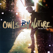 Owls By Nature: Great Divide