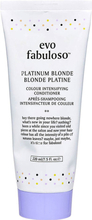 Evo Platinum Blonde Tube Color Treatment 220 ml