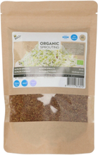 Organic Sprouting Alfalfa Sprossen 250g Ã¢ÂÂ" Medicago (GroÃÂpackung)