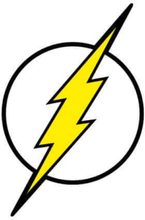 Justice League Flash Logo Hoodie - White - M