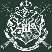 Harry Potter Hogwarts House Crest Men's T-Shirt - Green - XS - Green