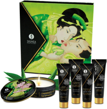 Geisha Organica Exotic Green Tea
