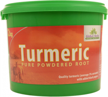 Global Herbs TurmericGold, 1,8 kg.