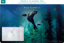 Museums & Galleries Weekly Planner Galapagos Sea Lion