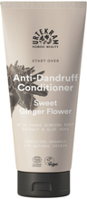 Urtekram Sweet Ginger Anti-Dandruff Conditioner