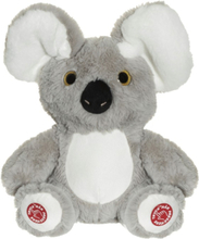 Teddykompaniet Titt-ut Koala 25 cm