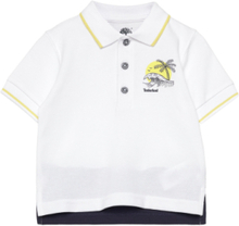 Short Sleeve Polo T-shirts Polo Shirts Short-sleeved Polo Shirts Multi/mønstret Timberland*Betinget Tilbud