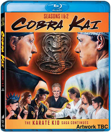 Cobra Kai - Staffeln 1-2