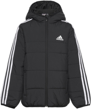 3-Stripes Padded Jacket Kids Outerwear Jackets & Coats Winter Jackets Svart Adidas Sportswear*Betinget Tilbud
