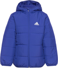 Padded Jacket Kids Outerwear Jackets & Coats Winter Jackets Blå Adidas Sportswear*Betinget Tilbud