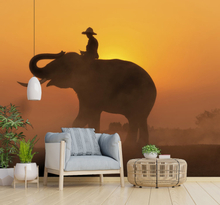Aziatische olifant bij zonsondergang fotobehang behang
