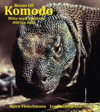 Resan Till Komodo - Möte Med Världens Största Ödla