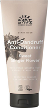 Urtekram Anti-Dandruff Sweet Ginger Flower Conditioner 180 ml