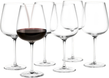 Bouquet Rødvinsglas 62 Cl Klar 6 Stk. Home Tableware Glass Wine Glass Red Wine Glasses Nude Holmegaard