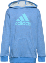 Future Icons Badge Of Sport Hoodie Sport Sweatshirts & Hoodies Hoodies Blue Adidas Sportswear