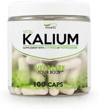 Kalium, 100 kapslar, Viterna