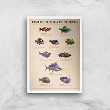 Fish Of The Sea Of Thieves Giclee Art Print - A3 - White Frame