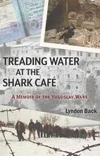 Treading Water at the Shark Caf