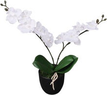 Medina Konstväxt Orkidé med kruka 30 cm vit