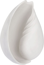 Conch Shell Home Decoration Decorative Accessories-details Porcelain Figures & Sculptures White Mette Ditmer