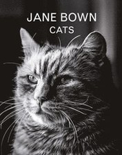 Jane Bown: Cats