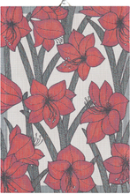 Ekelund - Amaryllis kjøkkenhåndkle 35x50 rød