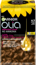 Garnier Olia 6.3 Golden Light Brown 1 pcs
