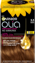 Garnier Olia 5.3 Golden Brown 1 pcs