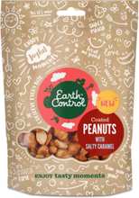 Earth Control Salty Caramel Peanuts