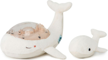 Tranquil Whale Home Kids Decor Lighting Night Lamps White Cloud B