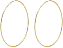 "Sanne Accessories Jewellery Earrings Hoops Gold Pilgrim"