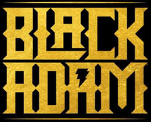 DC Black Adam Logo Unisex T-Shirt - Black - XS