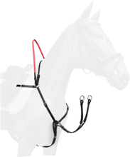 Waldhausen Bröstplatta/Martingal med säkerhetstygel (Pony)