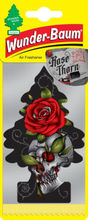 Doftgran Wunderbaum Rose Thorn