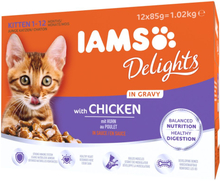 IAMS Delights Kitten Huhn in Sauce - 12 x 85 g