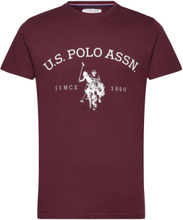 Uspa T-Shirt Archibald Men Tops T-shirts Short-sleeved Burgundy U.S. Polo Assn.