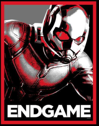 Avengers Endgame Ant-Man Poster Hoodie - Black - L