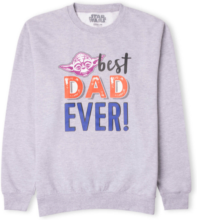 Best Dad Ever! Sweatshirt - Grey - XXL - Grey
