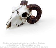 Figur: Rams Skull - Miniature