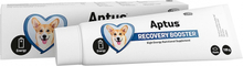 Aptus Recovery Booster Hund 100 g