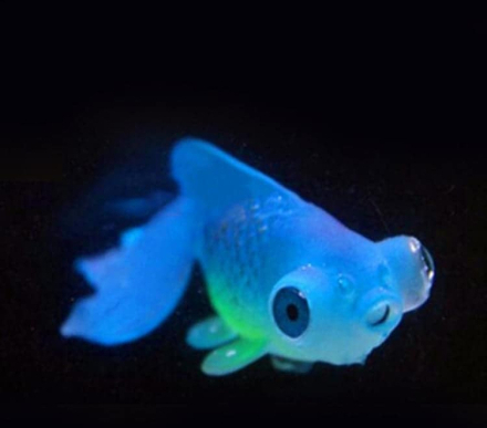 3 PCS Night Light Simulation Fish Tank Decorations Environmentally Friendly Silicone Colorful Fish(4 Blue Goldfish)
