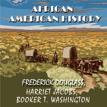 African American history: Narrative Of The Life by Frederic Douglass, Incidents In The Life Of A Slave Girl by Harriet Jacobs, Up From Slavery by B...
