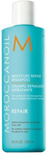 Repair Moisture Repair Shampoo 250ml