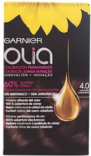 Garnier Olia Permanent Coloring 4,0 Brown